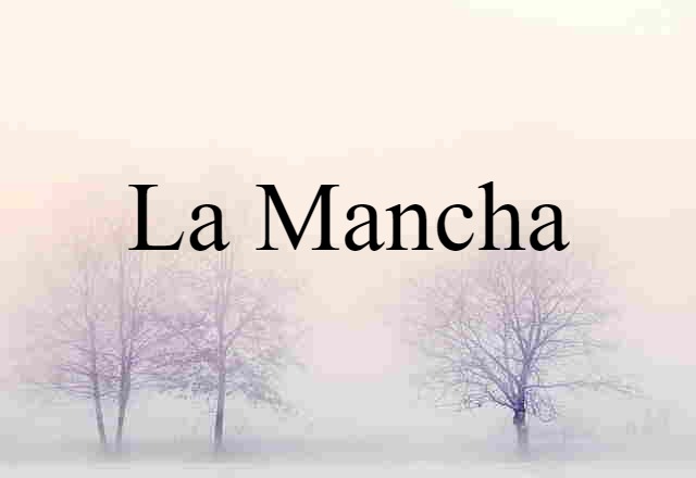 La Mancha (noun) Definition, Meaning & Examples