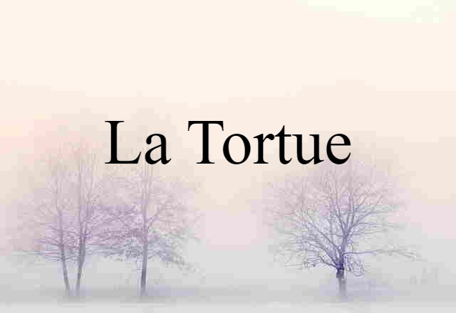 La Tortue (noun) Definition, Meaning & Examples