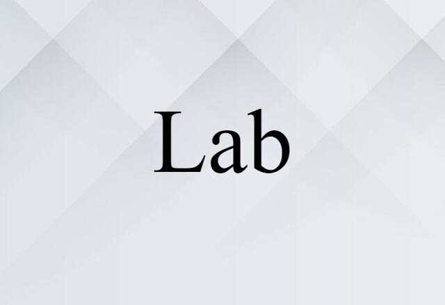 Lab (noun) Definition, Meaning & Examples