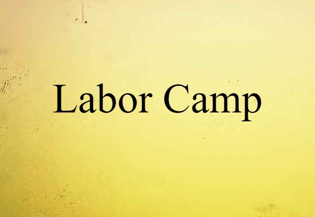 Labor Camp (noun) Definition, Meaning & Examples