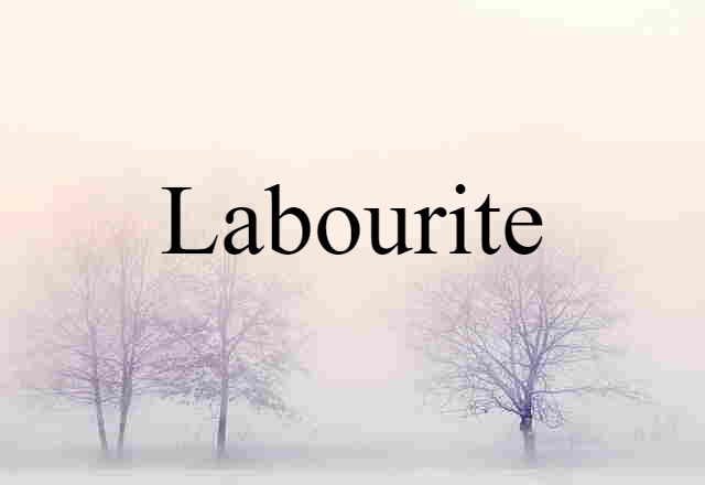 Labourite (noun) Definition, Meaning & Examples