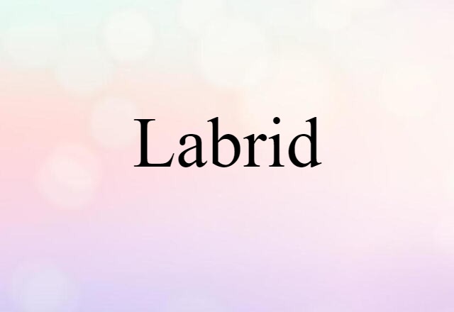 Labrid (noun) Definition, Meaning & Examples