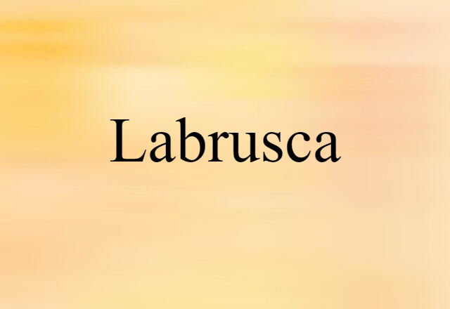 Labrusca (noun) Definition, Meaning & Examples