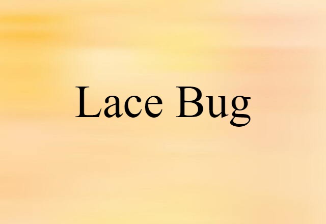 Lace Bug (noun) Definition, Meaning & Examples