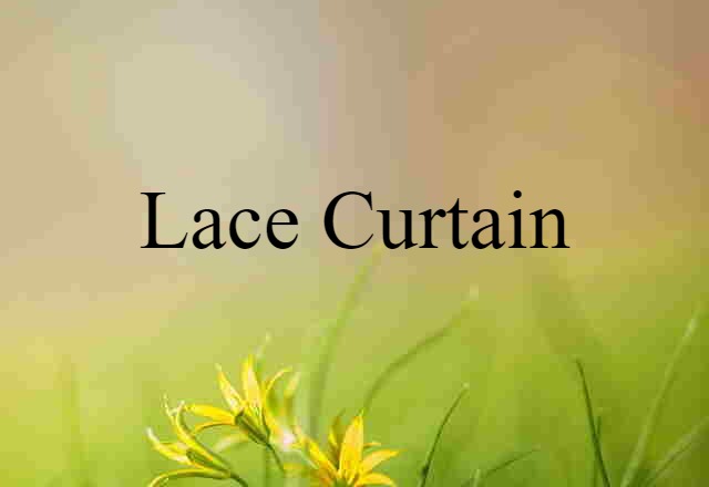 Lace-curtain (noun) Definition, Meaning & Examples