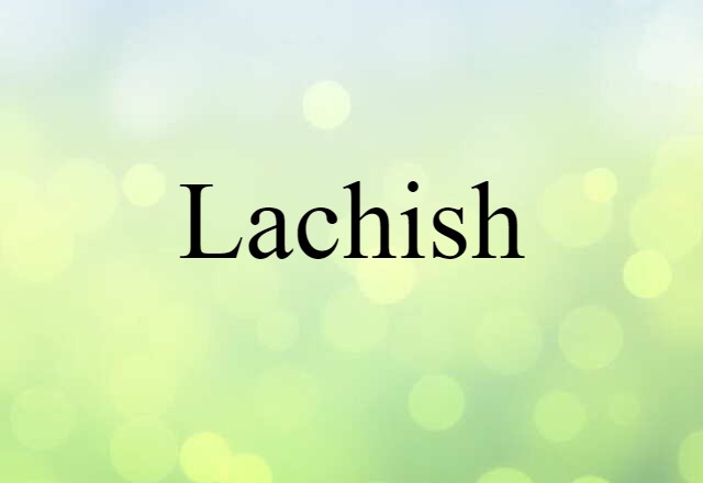 Lachish (noun) Definition, Meaning & Examples