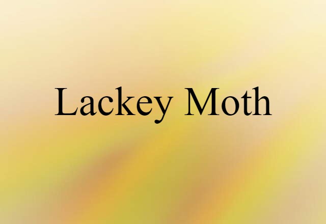 lackey moth