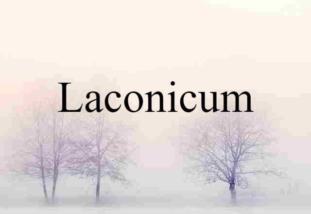 Laconicum (noun) Definition, Meaning & Examples