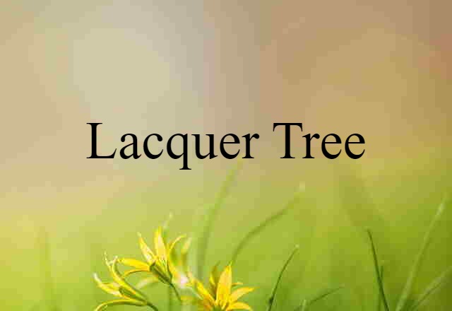 lacquer tree