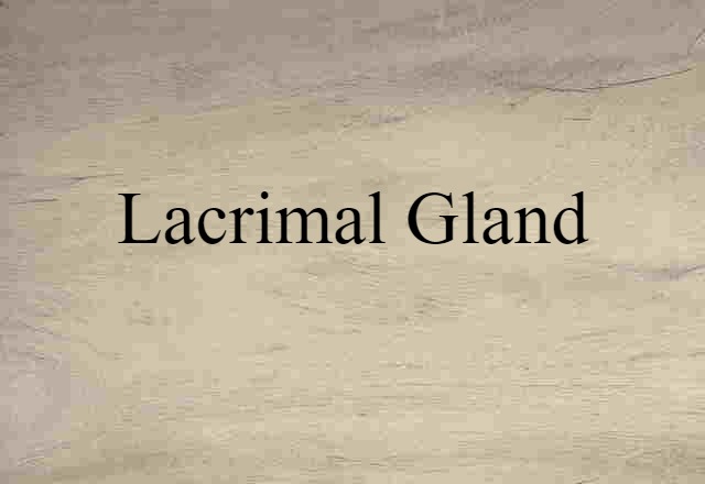 lacrimal gland