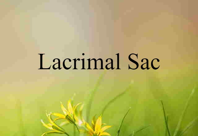 lacrimal sac