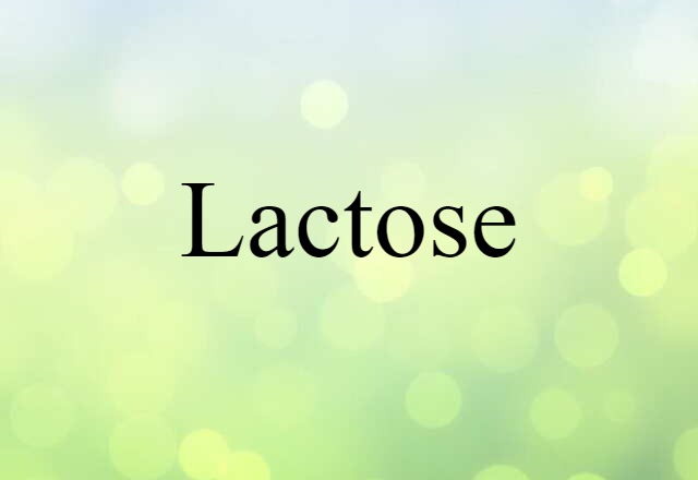 Lactose (noun) Definition, Meaning & Examples