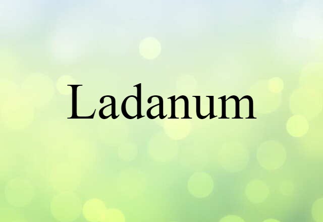 Ladanum (noun) Definition, Meaning & Examples