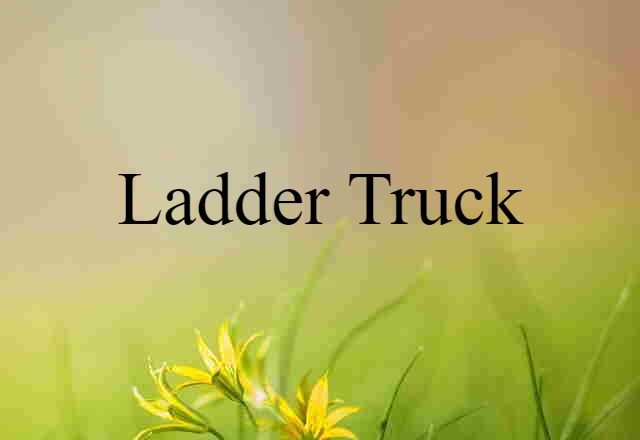 Ladder Truck (noun) Definition, Meaning & Examples