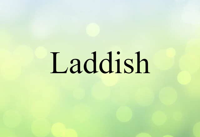 Laddish (noun) Definition, Meaning & Examples