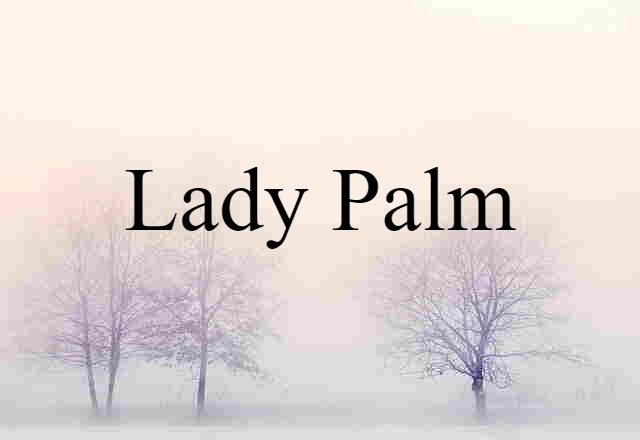 lady palm