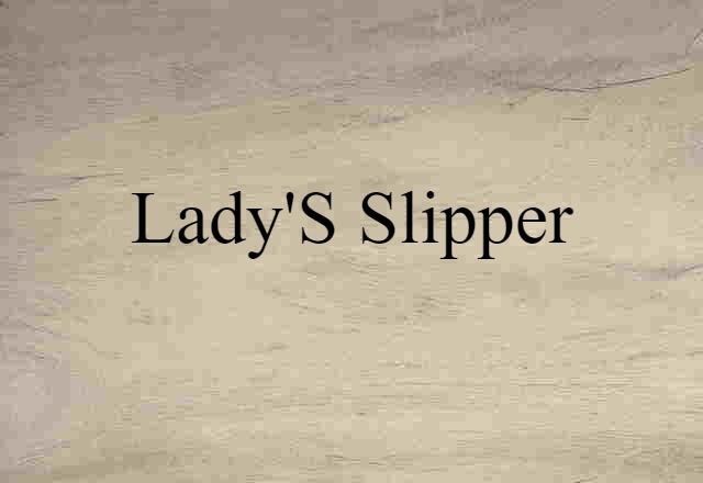 Lady's-slipper (noun) Definition, Meaning & Examples