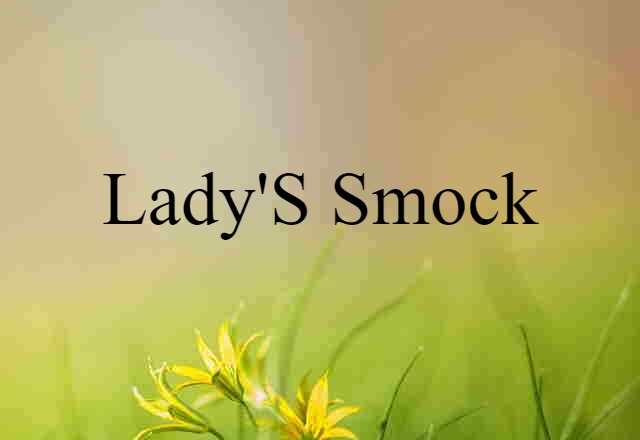 Lady's-smock (noun) Definition, Meaning & Examples