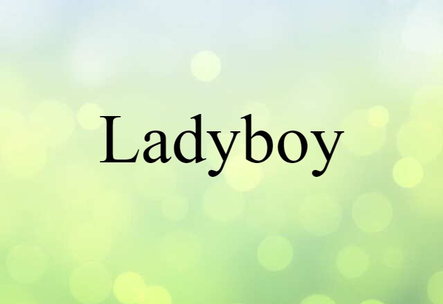 Ladyboy (noun) Definition, Meaning & Examples