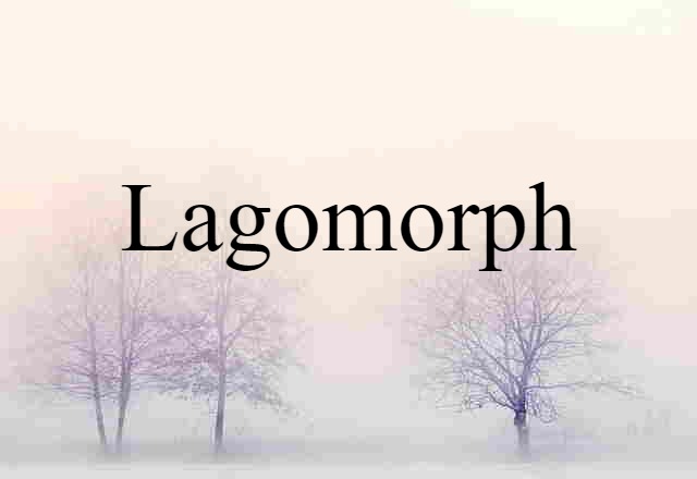 lagomorph