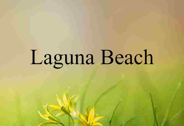 Laguna Beach (noun) Definition, Meaning & Examples