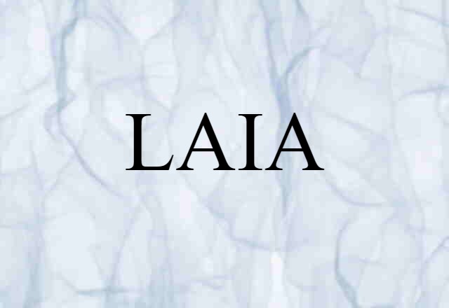 LAIA (noun) Definition, Meaning & Examples