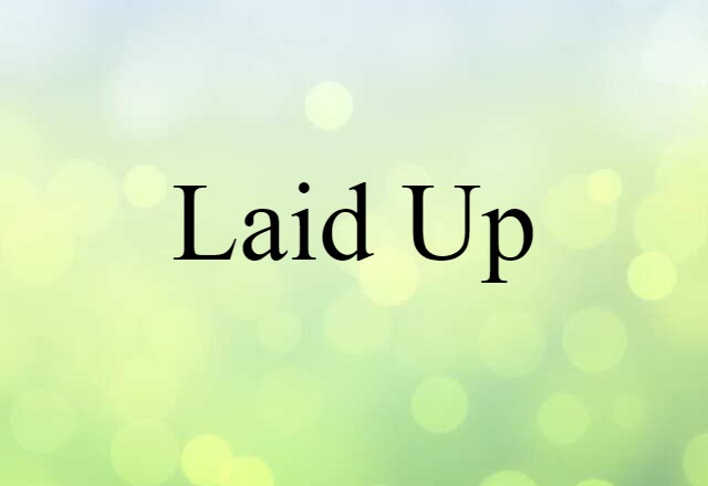 Laid Up (noun) Definition, Meaning & Examples