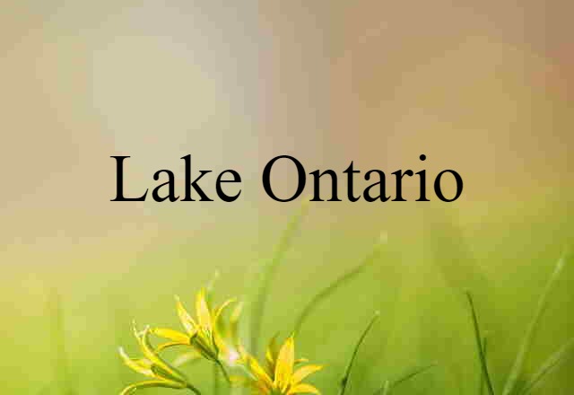 Lake Ontario (noun) Definition, Meaning & Examples