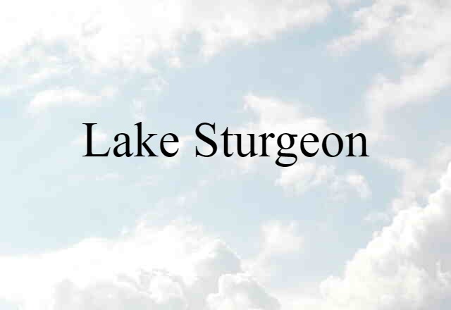 lake sturgeon