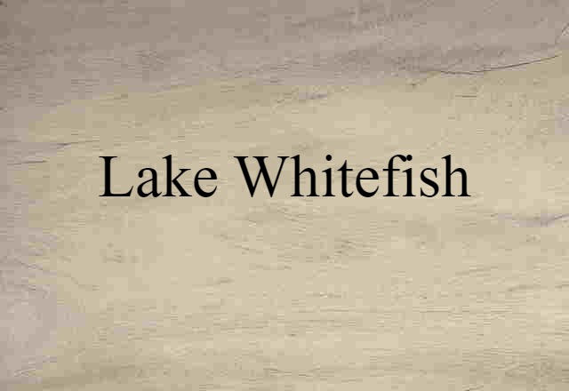 lake whitefish