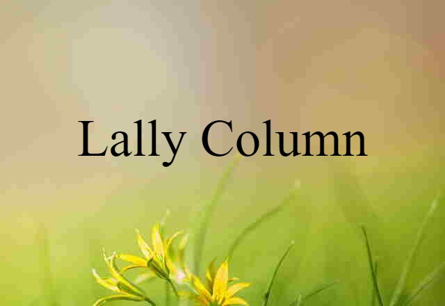 Lally column