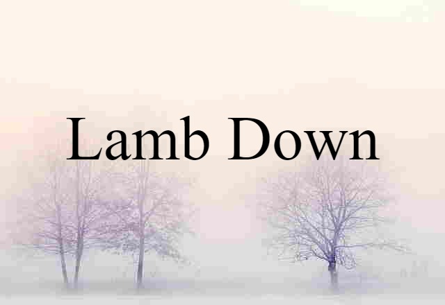 Lamb Down (noun) Definition, Meaning & Examples