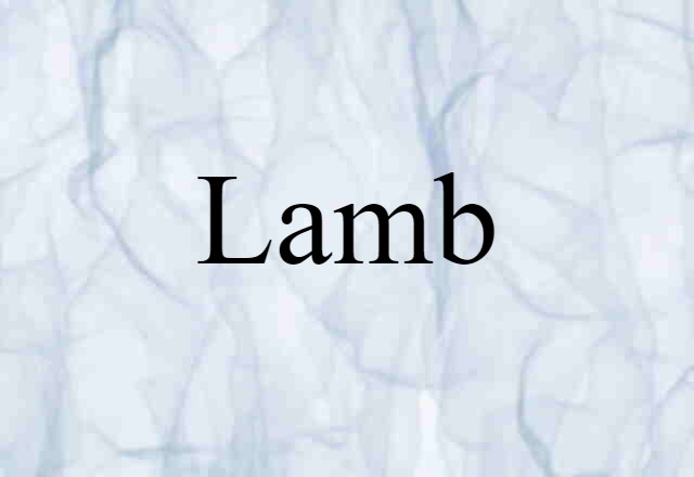 lamb