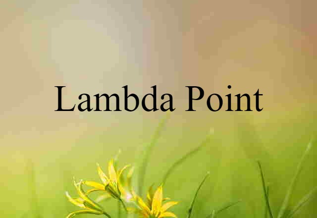 lambda point