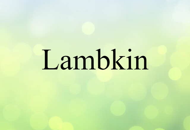 Lambkin (noun) Definition, Meaning & Examples