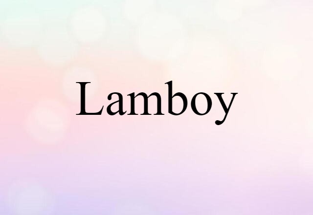 Lamboy (noun) Definition, Meaning & Examples