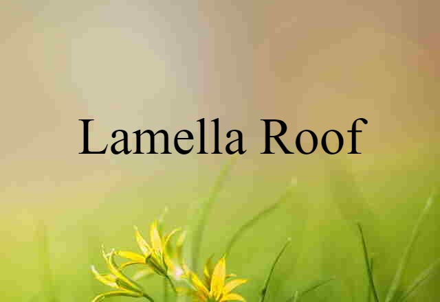 lamella roof