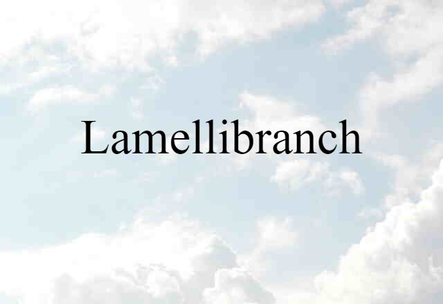 Lamellibranch (noun) Definition, Meaning & Examples