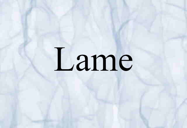 Lame (noun) Definition, Meaning & Examples