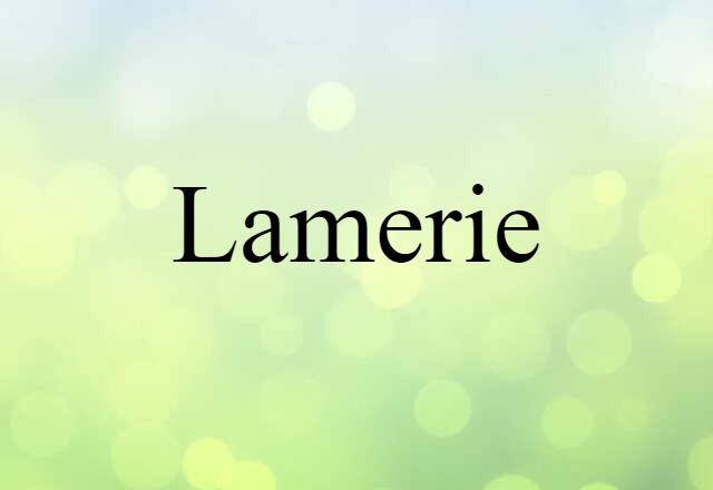 Lamerie (noun) Definition, Meaning & Examples