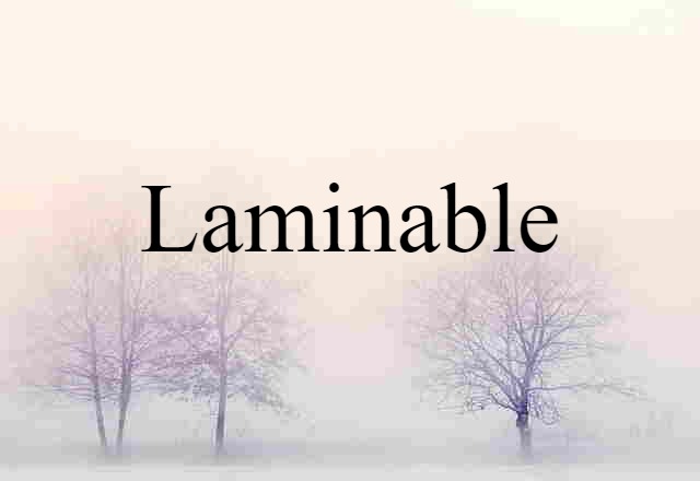 Laminable (noun) Definition, Meaning & Examples