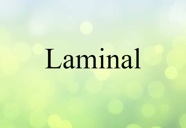 Laminal (noun) Definition, Meaning & Examples