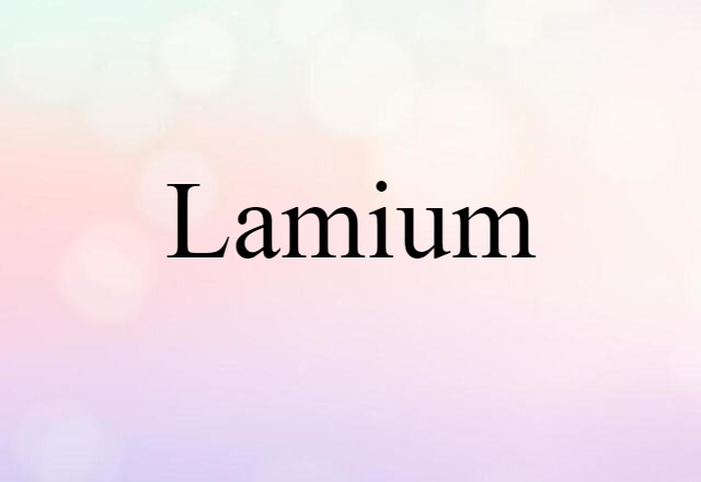 Lamium (noun) Definition, Meaning & Examples