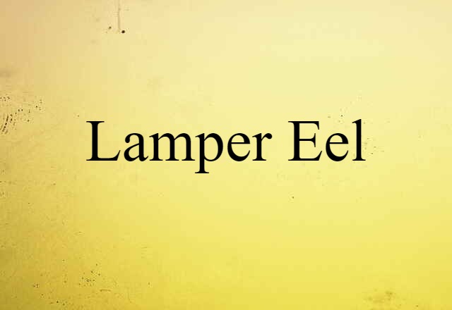 lamper eel