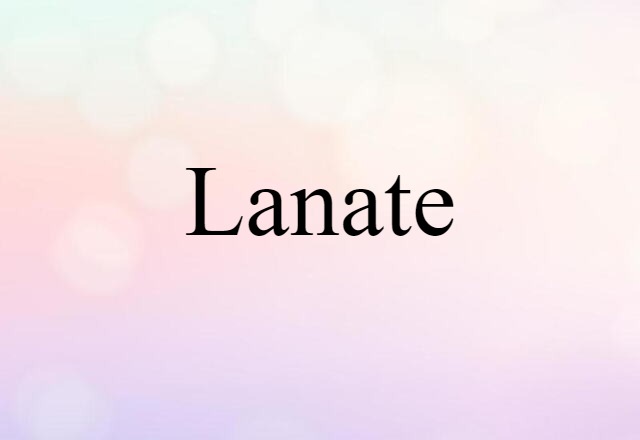 Lanate (noun) Definition, Meaning & Examples