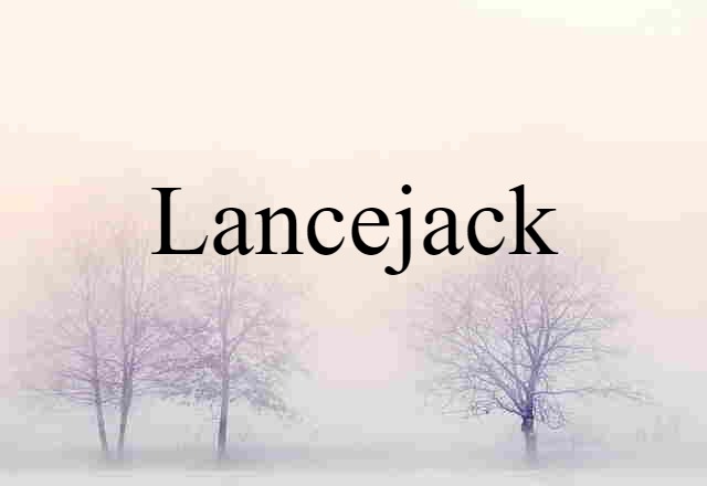 Lancejack (noun) Definition, Meaning & Examples