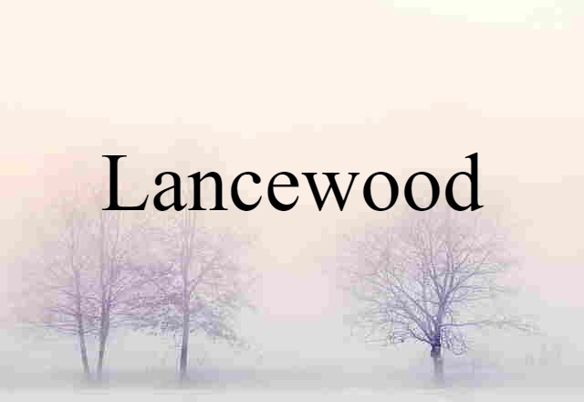 lancewood