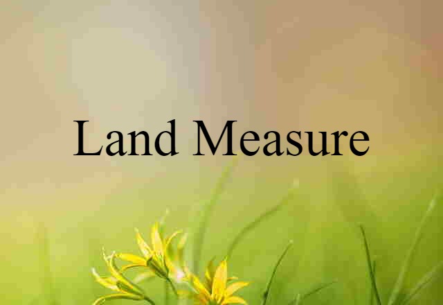 Land Measure (noun) Definition, Meaning & Examples