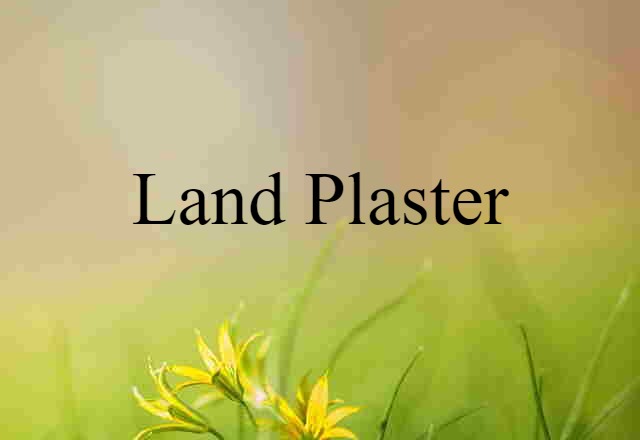 Land Plaster (noun) Definition, Meaning & Examples