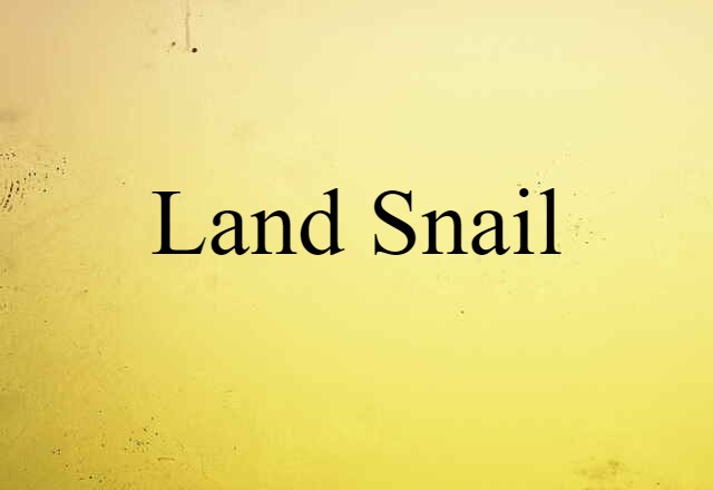 land snail